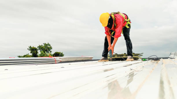 Best Roof Ventilation Installation  in Mcarthur, OH